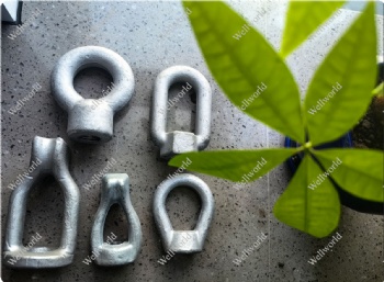 Hot dip galvanized -Eye Nut